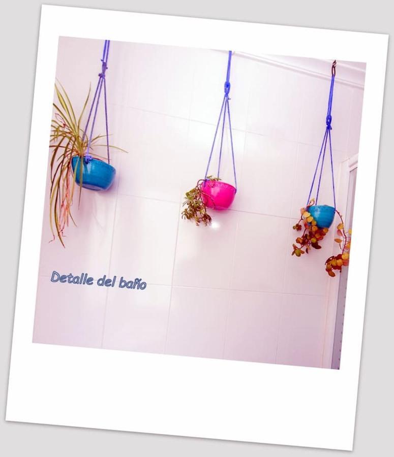 Atico Con Encanto En El Centro De Logrono Ngoại thất bức ảnh